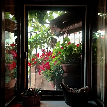 Garni La Rua-pescocostanzo 4* بيسكوكوستانزو