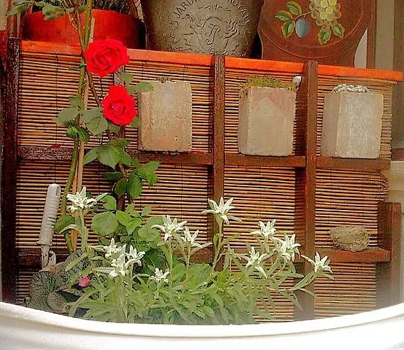 Garnì La Rua-pescocostanzo Bed & Breakfast